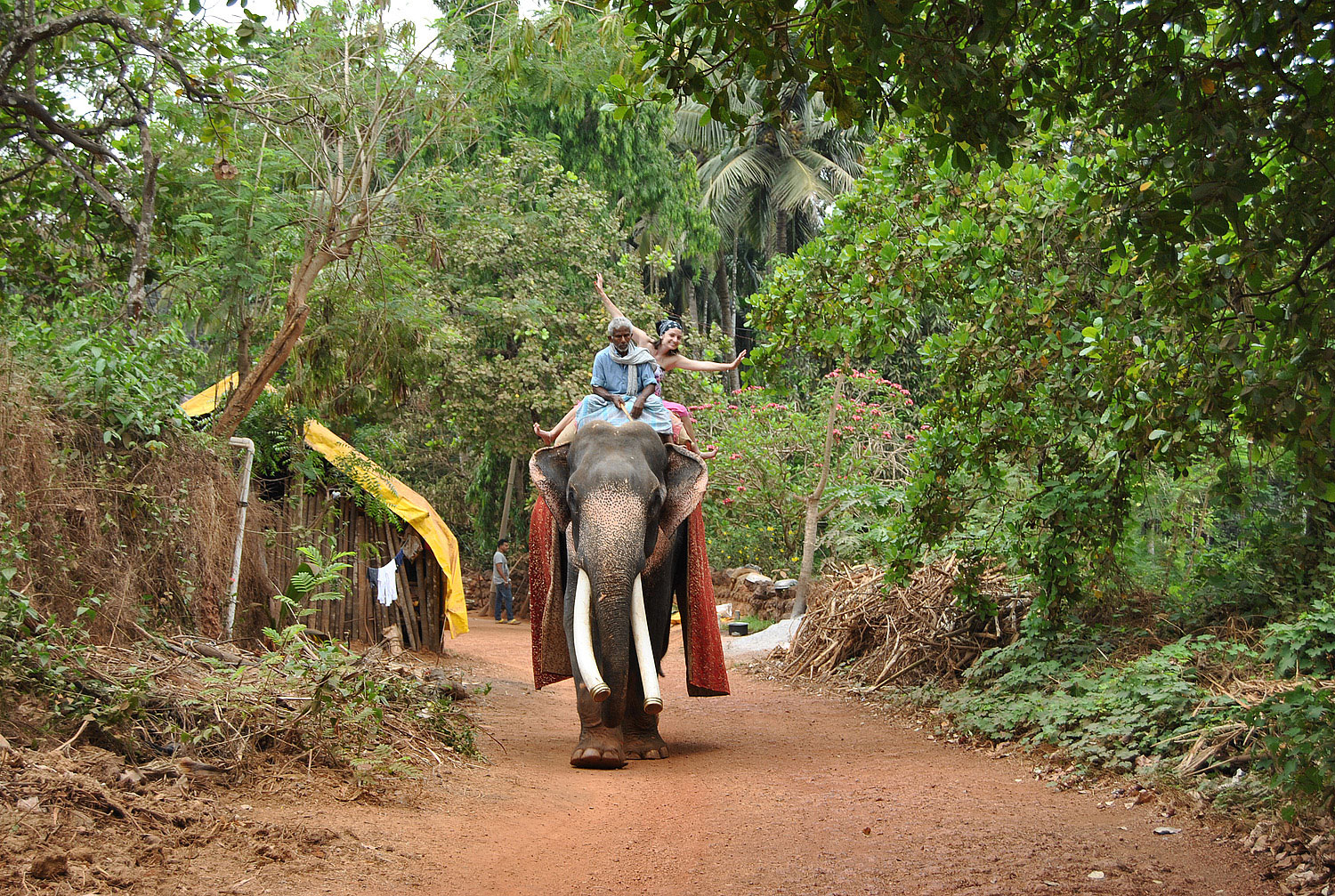 Chantal's first elephant ride ever